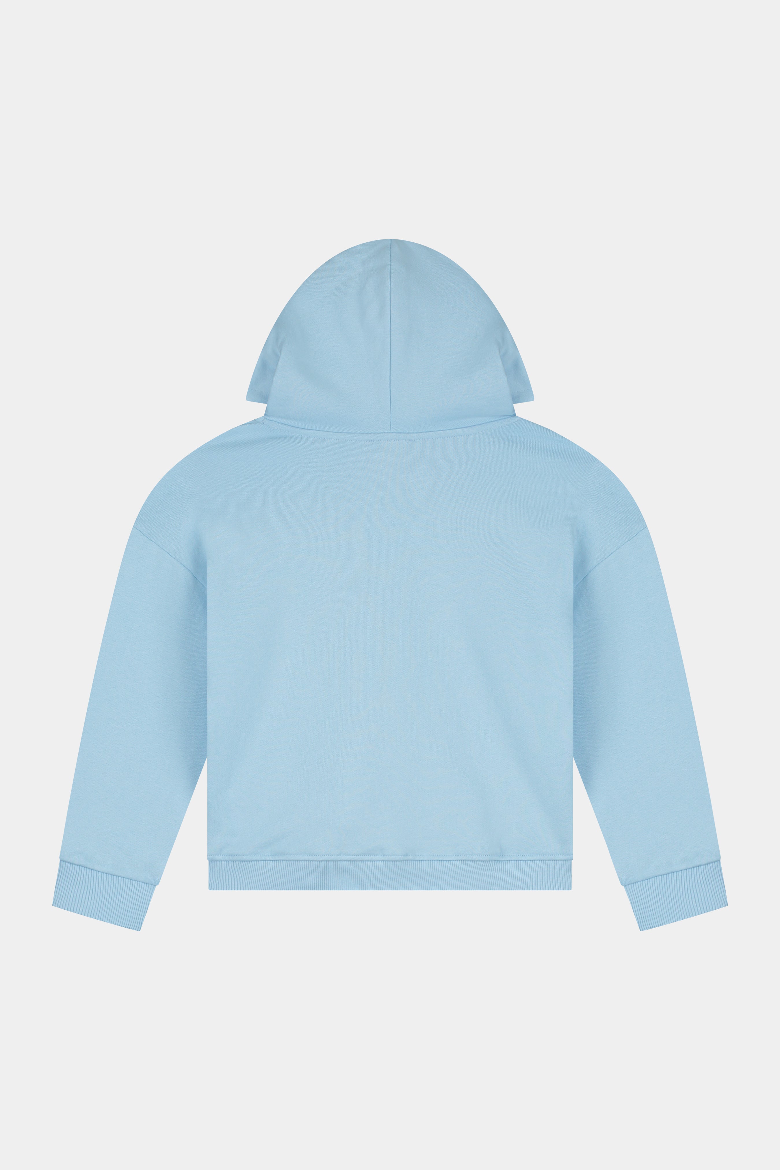 Watch Me Bloom Oversized Hoodie Blue